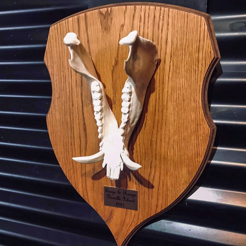 Euro Mount by Black Stag Tannery, Levin, NZ