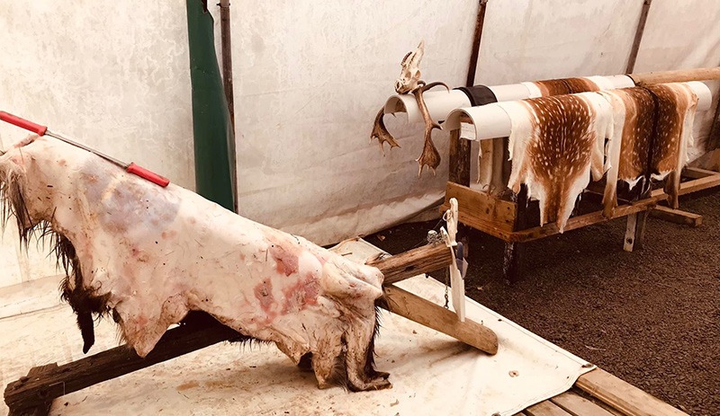 Hand crafted hide tanning, Levin, New Zealand